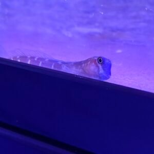 img 7701