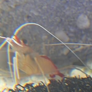 img 7790