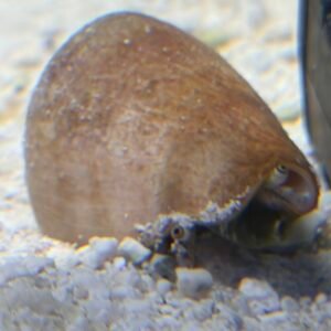 img 7855