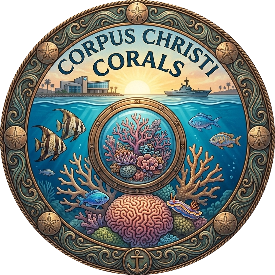 corpus christi corals modified